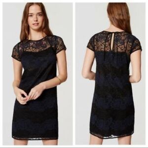 Black and blue lace overlay dress LOFT NWT
